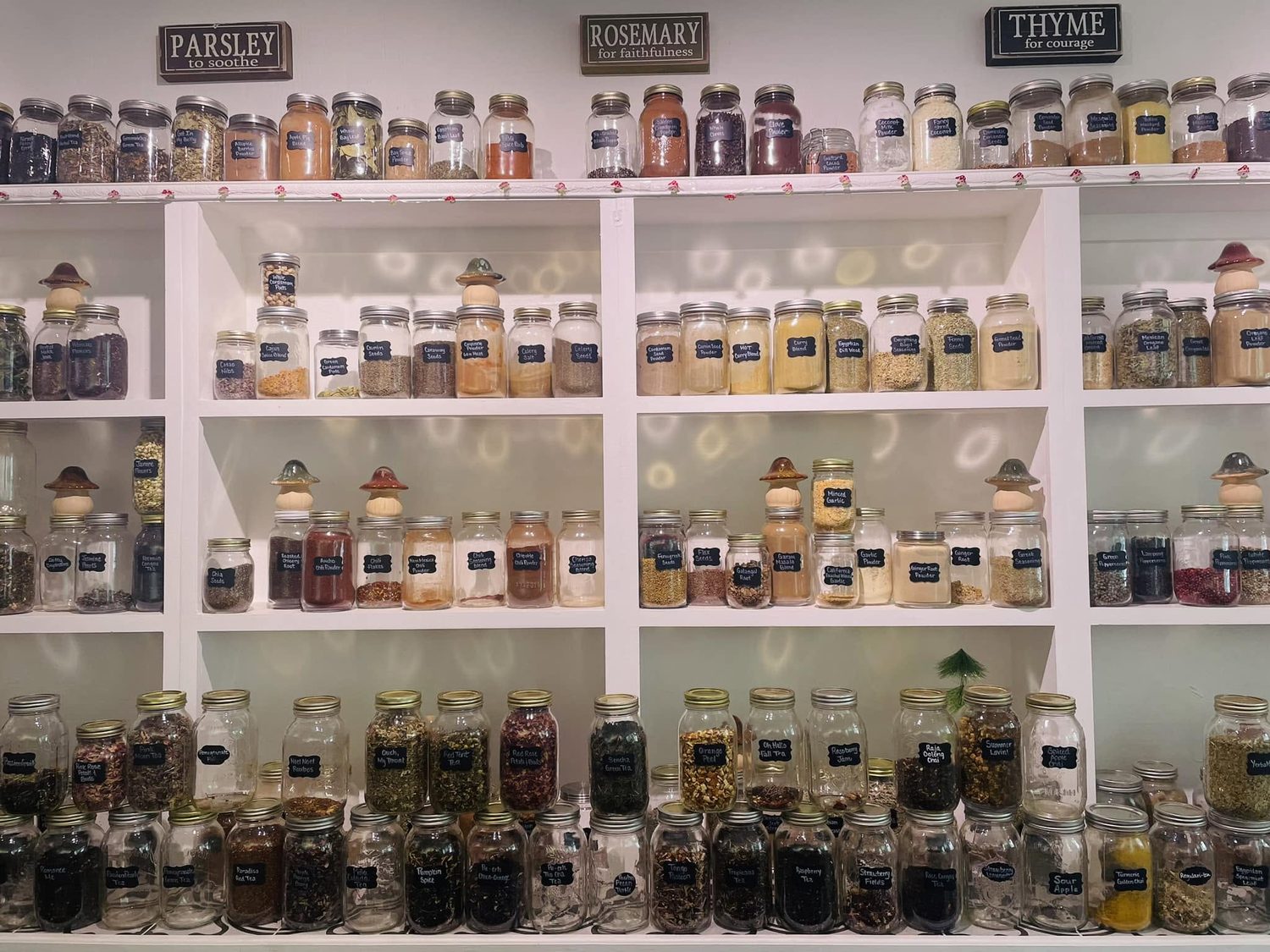 Wall of hand-labeled glass jars filled with teas, herbs, and spices at The Spice Rack